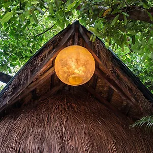 Hotel Blue Parrot On 5th Avenue Playa del Carmen